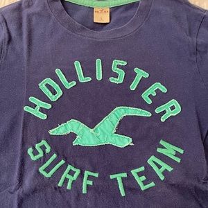 Hollister Short Sleeve T-Shirt